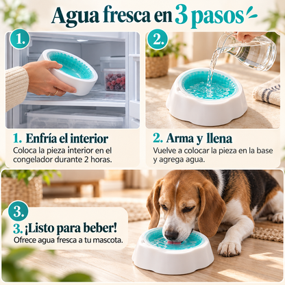 Plato refrigerante para mascotas + tapete antideslizante