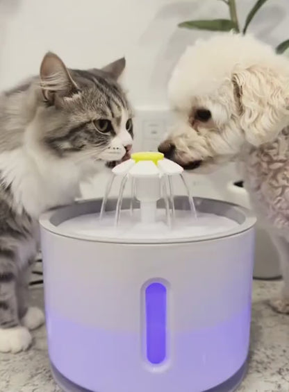Fuente de agua eléctrica con luz LED para mascotas - 2.4 litros